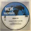 BRIAN ICE - TALKING TO THE NIGHT (PICTURE DISC) by DiscoTimeRecords