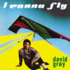 DAVID GRAY - I WANNA FLY (YELLOW VINYL) by DiscoTimeRecords