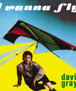 DAVID GRAY - I WANNA FLY (YELLOW VINYL) by DiscoTimeRecords