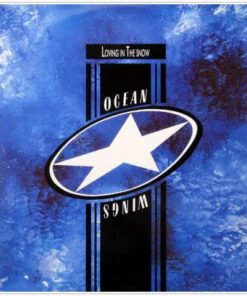 OCEAN WINGS - LOVING IN THE SNOW by DiscoTimeRecords