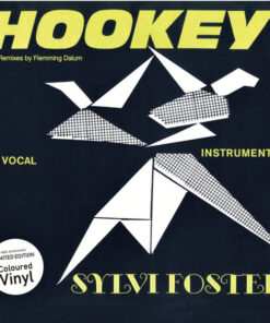 SYLVI FOSTER - HOOKEY by DiscoTimeRecords