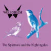 Wolfsheim – The Sparrows And The Nightingales (Transparent vinyl)