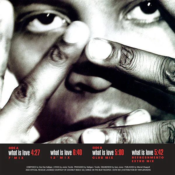 HADDAWAY - WHAT IS LOVE - Image 2