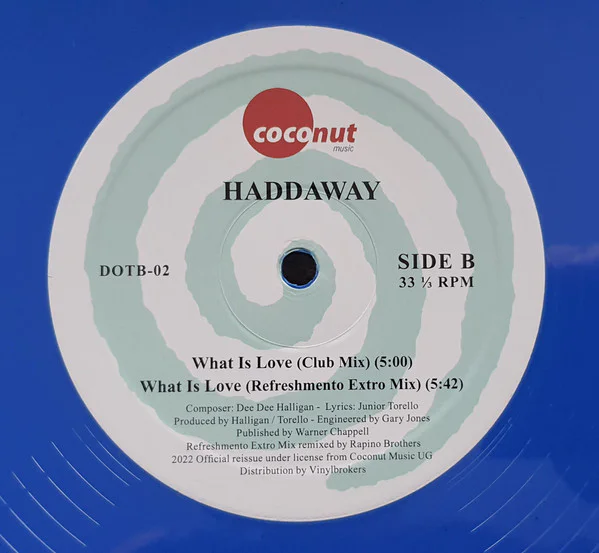 HADDAWAY - WHAT IS LOVE - Image 4