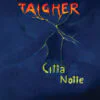 Taigher – Città / Notte