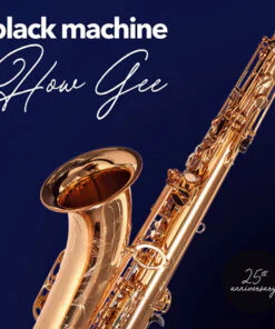 Black Machine ‎– How Gee (25th Anniversary Edition)