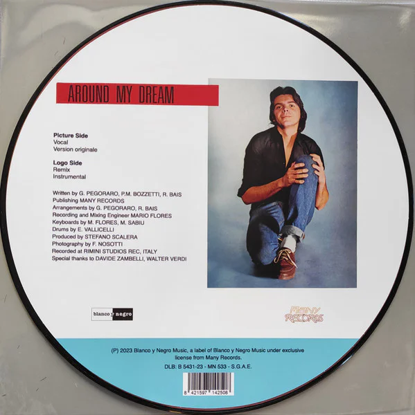 Silver Pozzoli – Around My Dream (picture disc) - Image 2