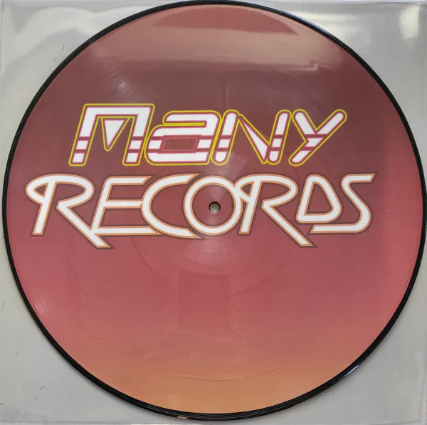 Silver Pozzoli – Around My Dream (picture disc) - Image 3