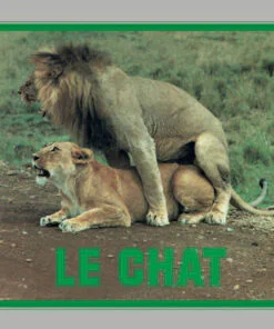 Pussycat – Le Chat