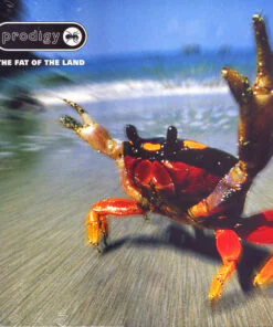 Prodigy – The Fat Of The Land