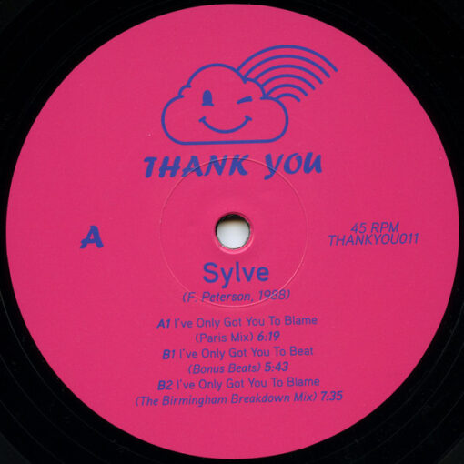 Sylve – I've Only Got You To Blame - Image 4