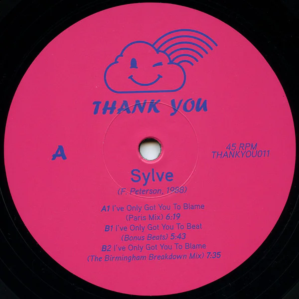 Sylve – I've Only Got You To Blame - Image 4