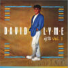 David Lyme – HIts vol. 1