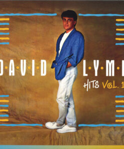 David Lyme – HIts vol. 1
